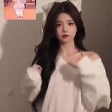 项目总群