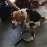 许涵低龄匹配QL