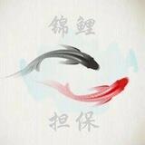 小轩注册接码项目 锦鲤担保公群/上押2018u