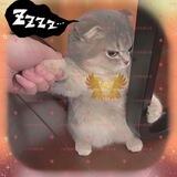 小月日记