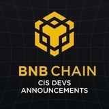 CIS Devs - BNB Chain