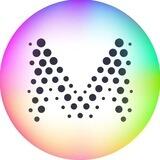 Muon Network