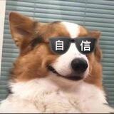 胜天低龄Q拉23起