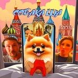 Собака Ша