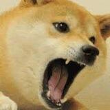 ShibScream