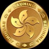 Bauhinia Token 丨BSC