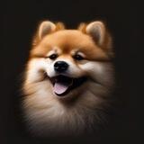 Pooshi Inu