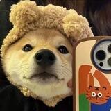 坤巴一体直装🇨🇳🇨🇳