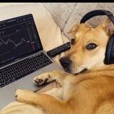 Forex Signal