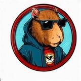 CAPYBARA PORTAL