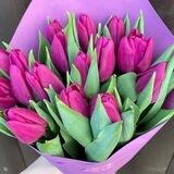🌷ТЮЛЬПАНЫ 2023 Брест
