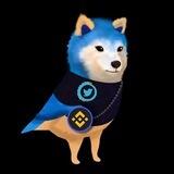 BNB COIN TWIT