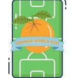 🍊Orange⚽️ World Cup