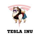 Tesla Inu | Portal