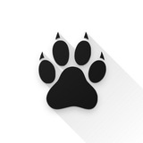 Amarok-dev
