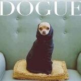 DOGUE