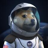 SpaceX Doge | WL Presale 🟢