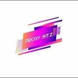 پروکسی سیتز | Proxy Sitz