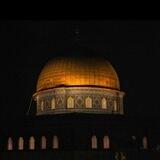 نبض القدس