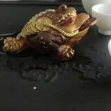 九城交流群