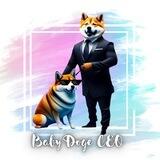 Baby DOGECEO | Portal