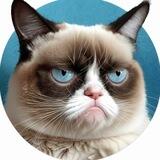 Grumpy Cat Community-made Portal
