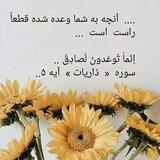 کانال اسلامی جهان