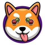 Shibet Inu