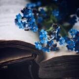 نَـثَـــࢪاتْ.. ❀