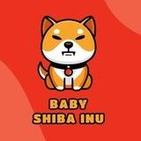 Baby Shiba Inu - $BABYSHIB - Portal