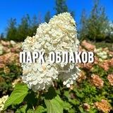 ПАРК ОБЛАКОВ🌤️ПАРК ГАЛИЦКОГО🎋ЯПОНСКИЙ САД