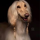 Bendleruschka