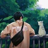 孤影报账群