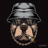 бар «Bar Boss»