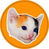 Calico Cat $CALIC