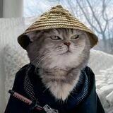 洛神改文件官方频道🇨🇳