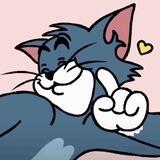 - `, TOMY STORE ꒱ ↷😼