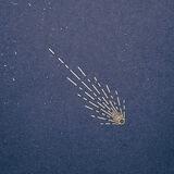 a speck of Universe
