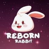 ReBorn RABBIT 🌍 Global 🌍