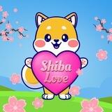 Shiba Love ❤ 5/5 Tax { Official }
