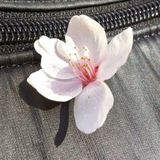 Heartbloom.