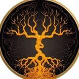 $CORDY | Cordyceps Community | BUSD Rewards