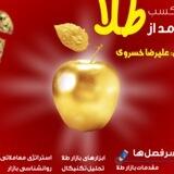 دوره آموزشی طلا علیرضا خسروی