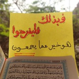 الدورات العلمية للشيخ أحمد عبد المنعم " قرءان "