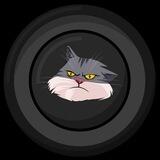 CATCOIN2023
