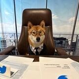 Twitter CEO $TEO