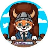 Baby Floki CEO Official