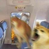 404