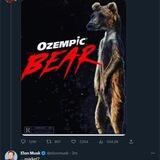 Ozempic Bear $BEAR Elon Tweeted