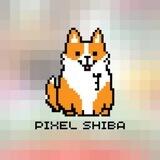 Pixel Shiba